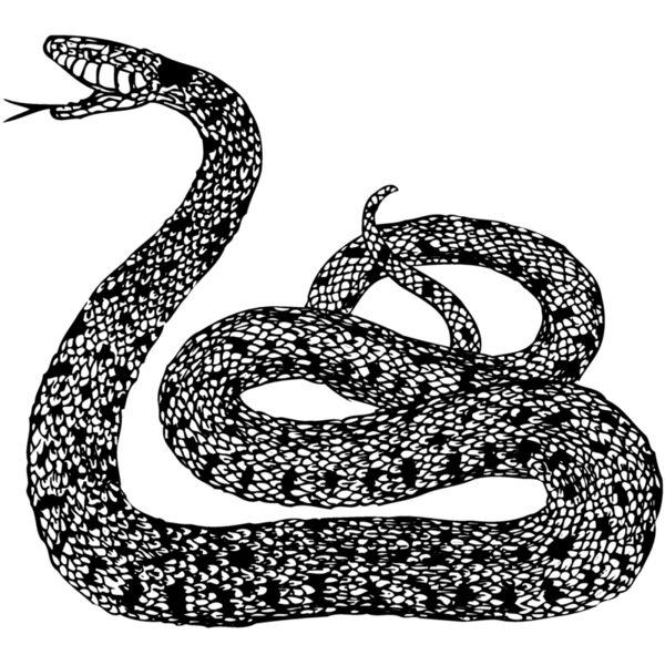 SNAKE015 Thumbnail