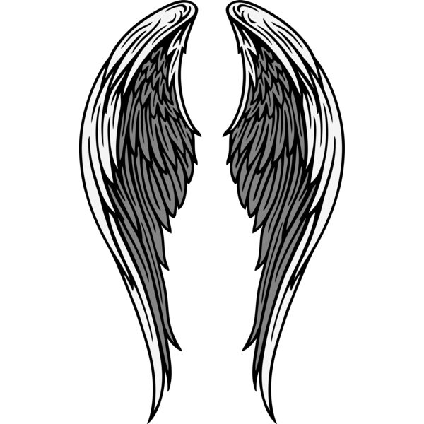 ES2wings018CLR Thumbnail