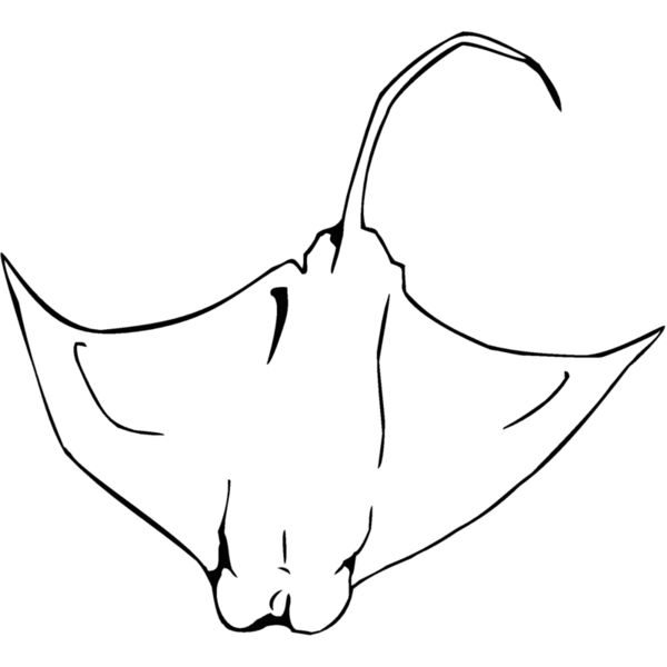 eagleray01 Thumbnail