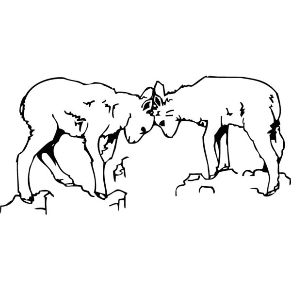 mountaingoatkids Thumbnail