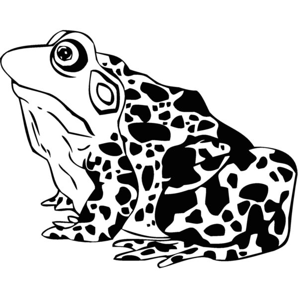 frog Thumbnail