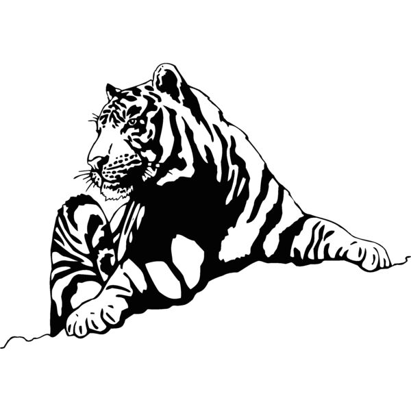 tiger08 Thumbnail
