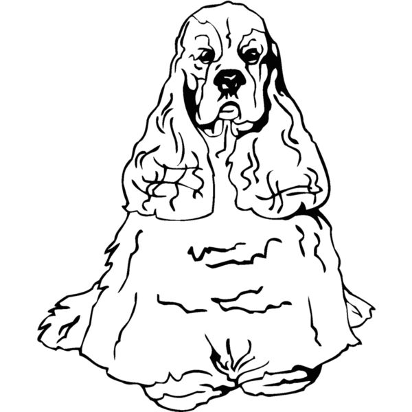 cocker spaniel Thumbnail