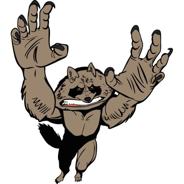 racoonmsct01 Thumbnail