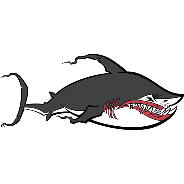 shark04v4clr Thumbnail