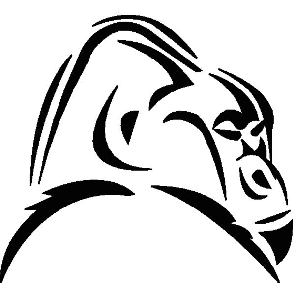 gorilla 13 Thumbnail