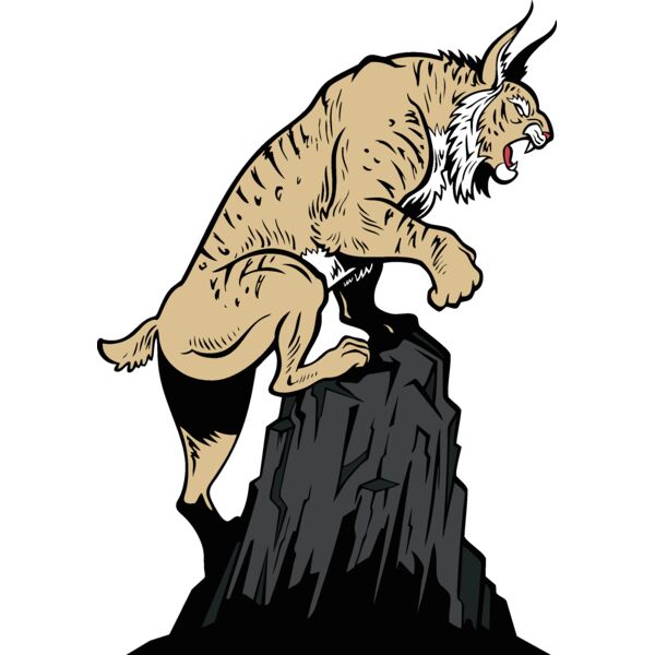 wildcat16v4clr Thumbnail