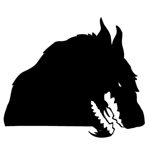 wfahd08  2  Thumbnail