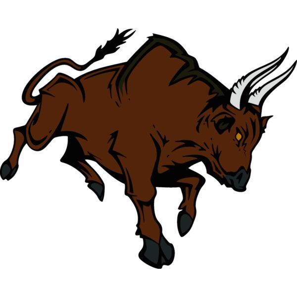 bull08v4clr Thumbnail