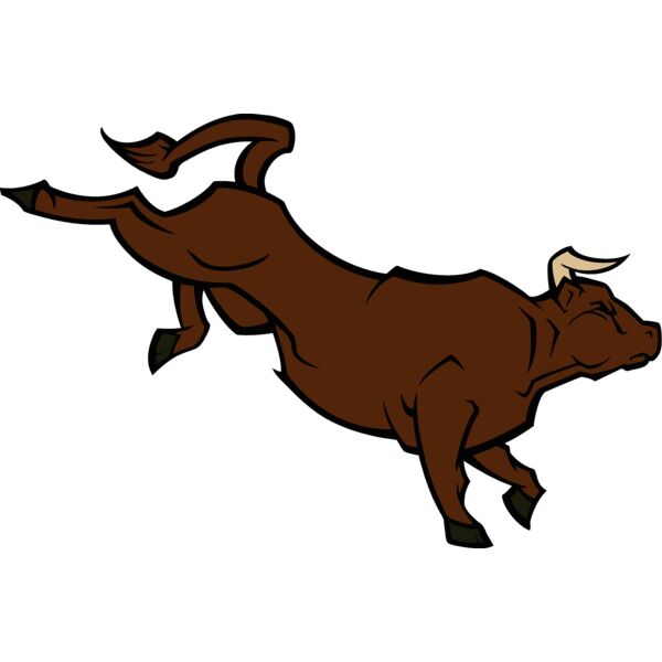 bull02v4clr Thumbnail