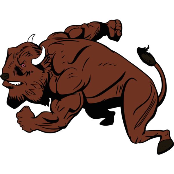 bisonmsct03 Thumbnail