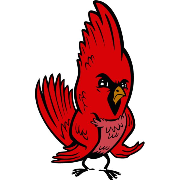 cardinal06v4clr Thumbnail