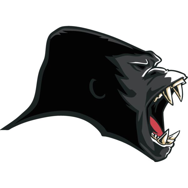 gorilla 24 Thumbnail